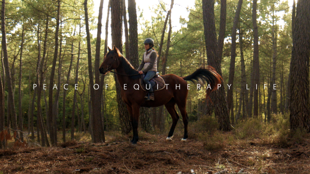 peace of equitherapy life cheval de profil monté par une cavalière dans une forêt avec un soleil rasant et une lumière chaleureuse